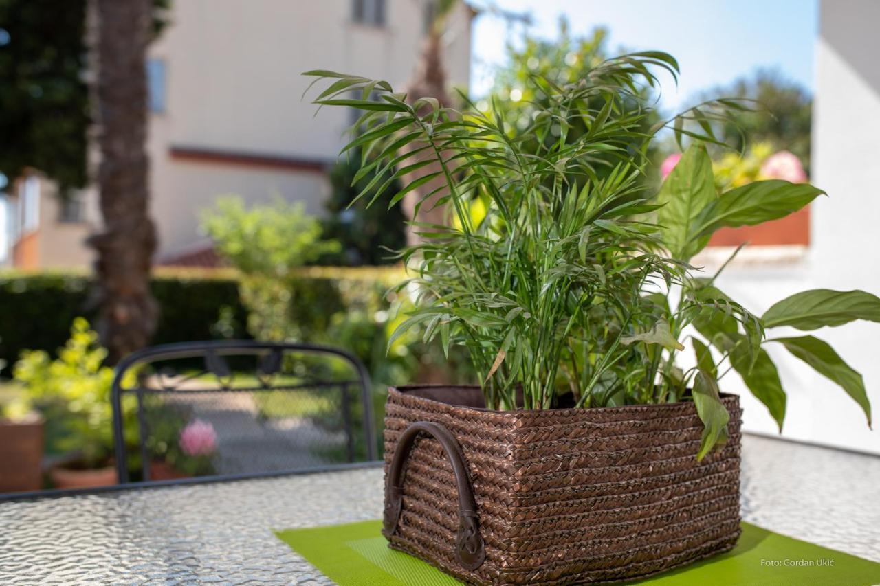 Apartman LUKA Rovinj Bagian luar foto